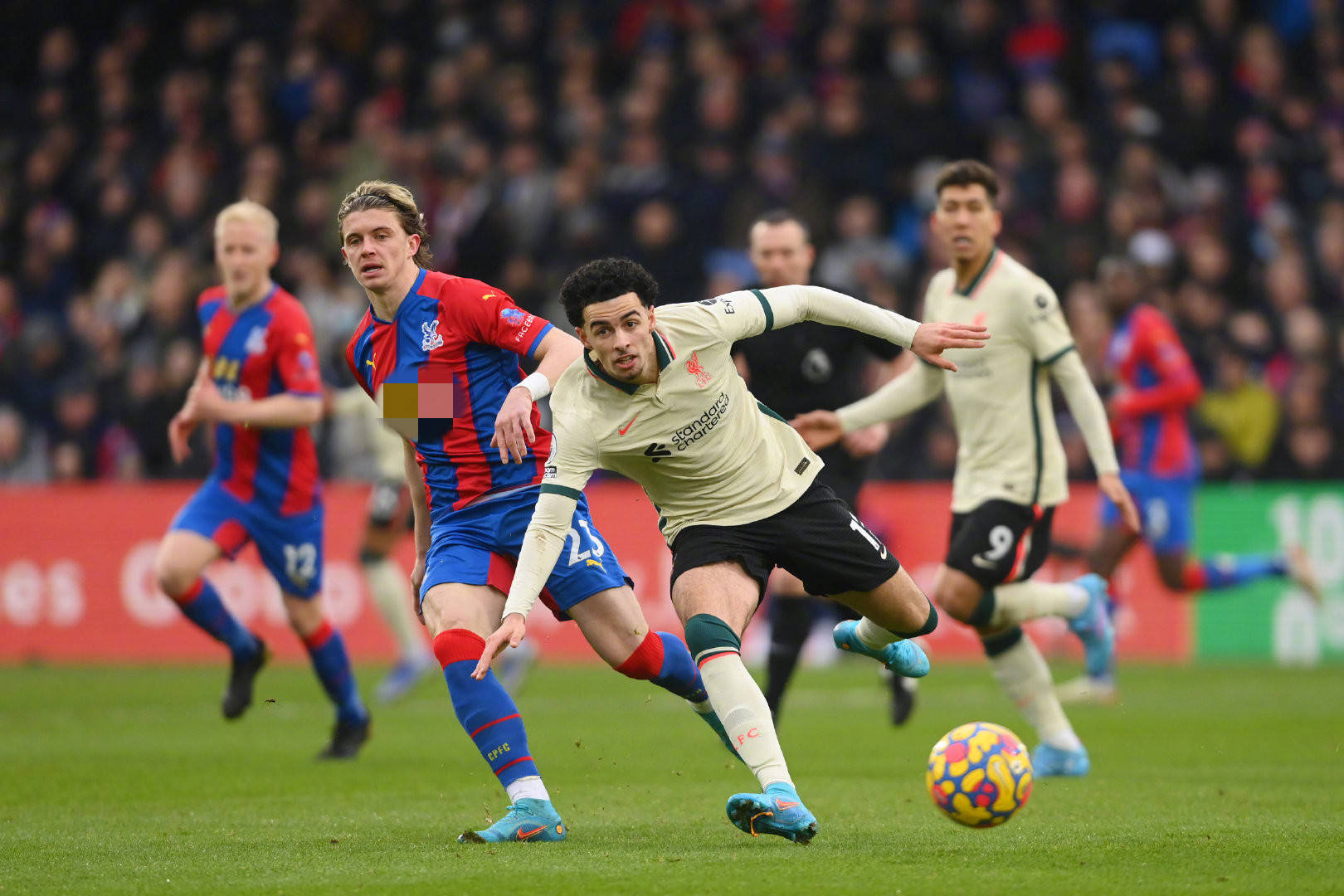 中也找到了 中也找到了